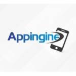 Appingine Chicago Mobile App Development Company Profile Picture