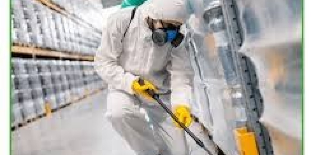 Comprehensive Termite Control Services in Lahore for Complete Structural Safety