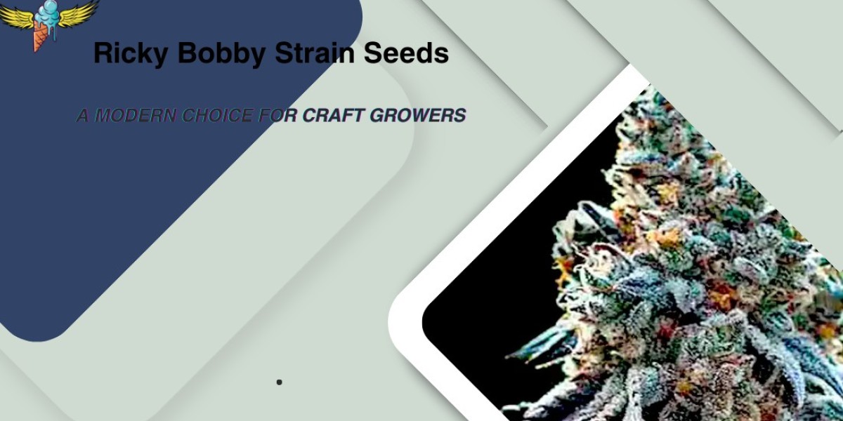 Ricky Bobby Strain Seeds: A Modern Choice for Craft Growers