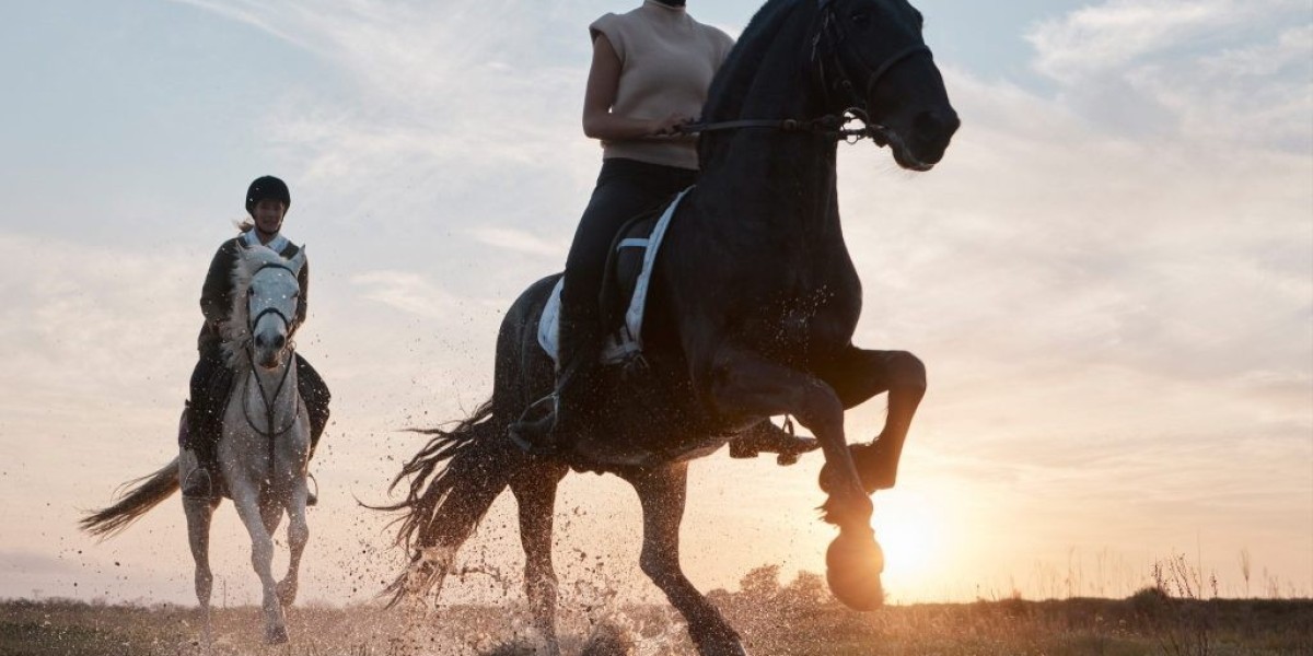 Faisal town phase 2 Sector O Model block Housing Update