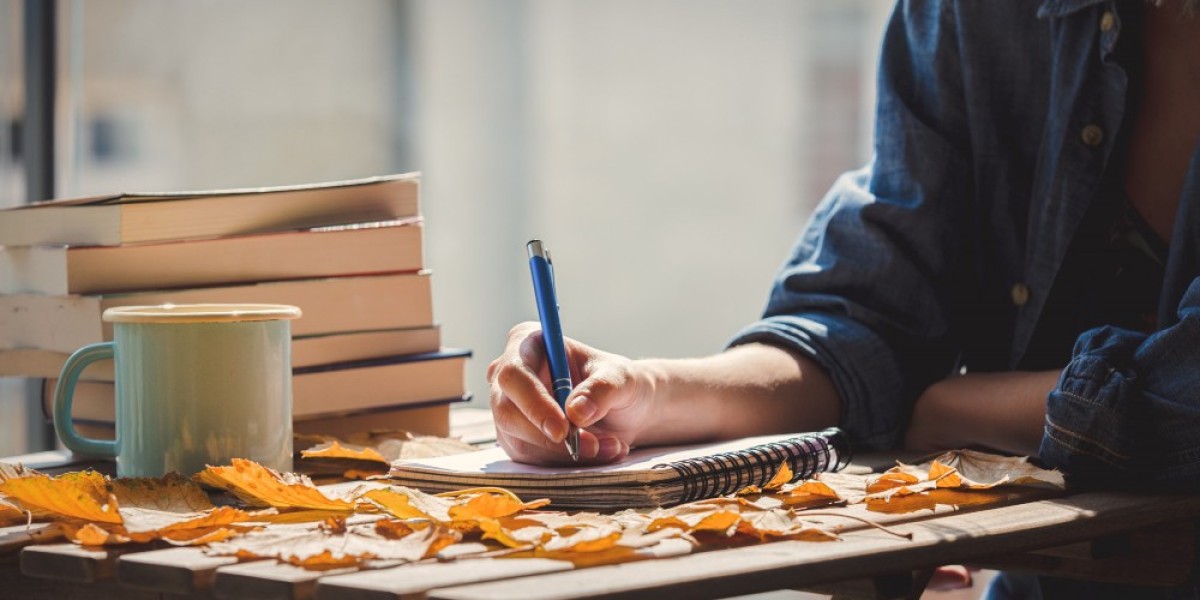 How Do Successful Authors Approach Book Writing?