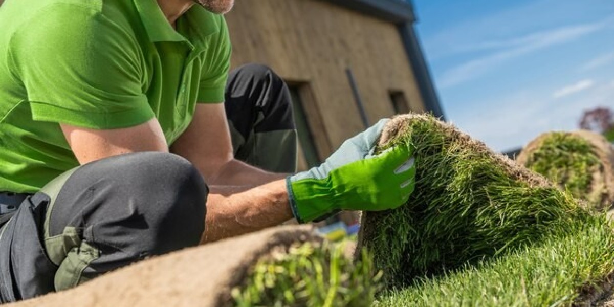 Sod Installation Fort Worth TX: Transform Your Lawn with Professional Services