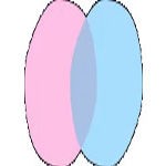 chatdansk Profile Picture