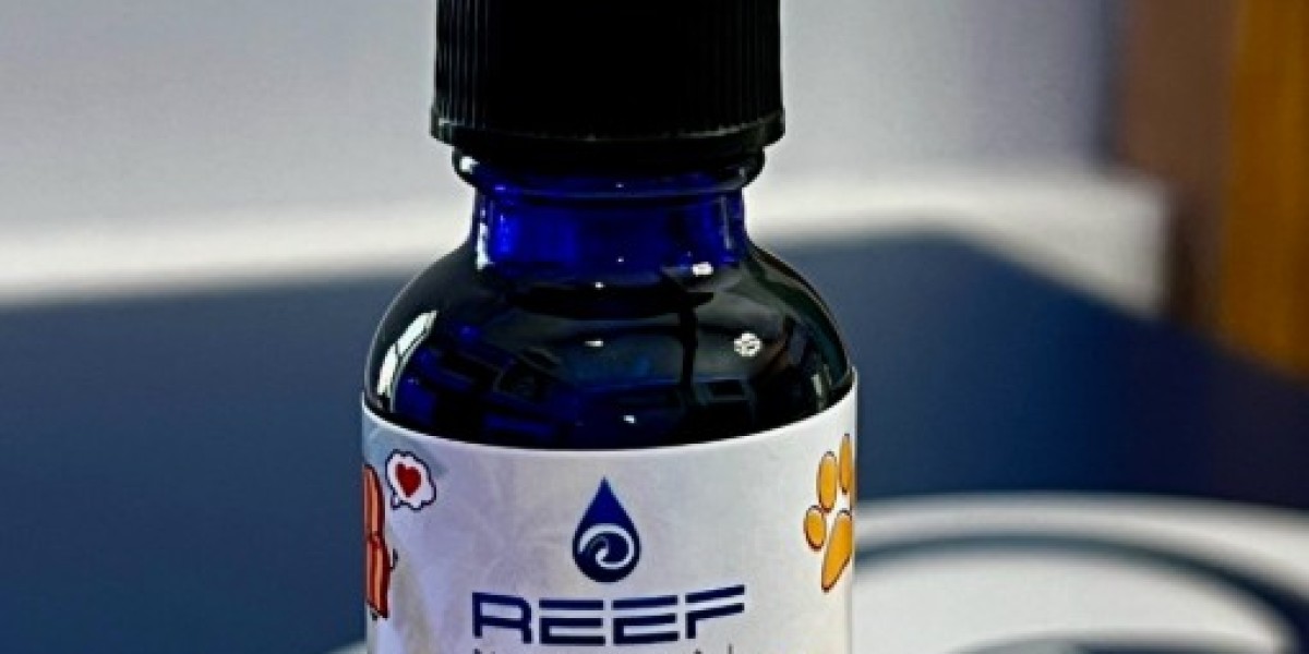 CBD Pet: Safe and Premium Options for Your Furry Friends