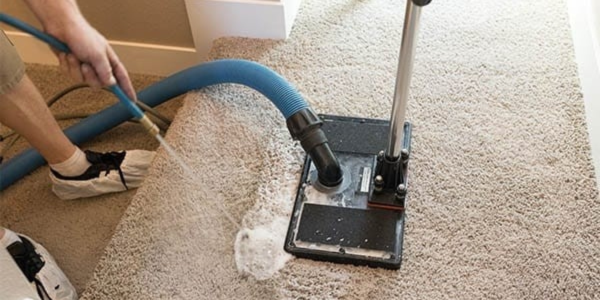 The Best Pet Urine and Odor Removers for Georgetown, TX Homes: Expert Reviews