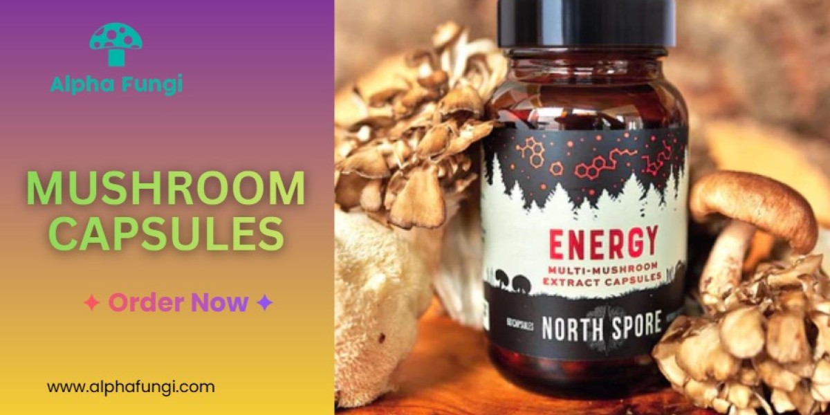 Buy Mushroom Capsules Online for Health | Alphafungi