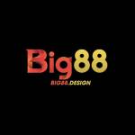 big88 design Profile Picture