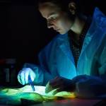 tkpanda Profile Picture