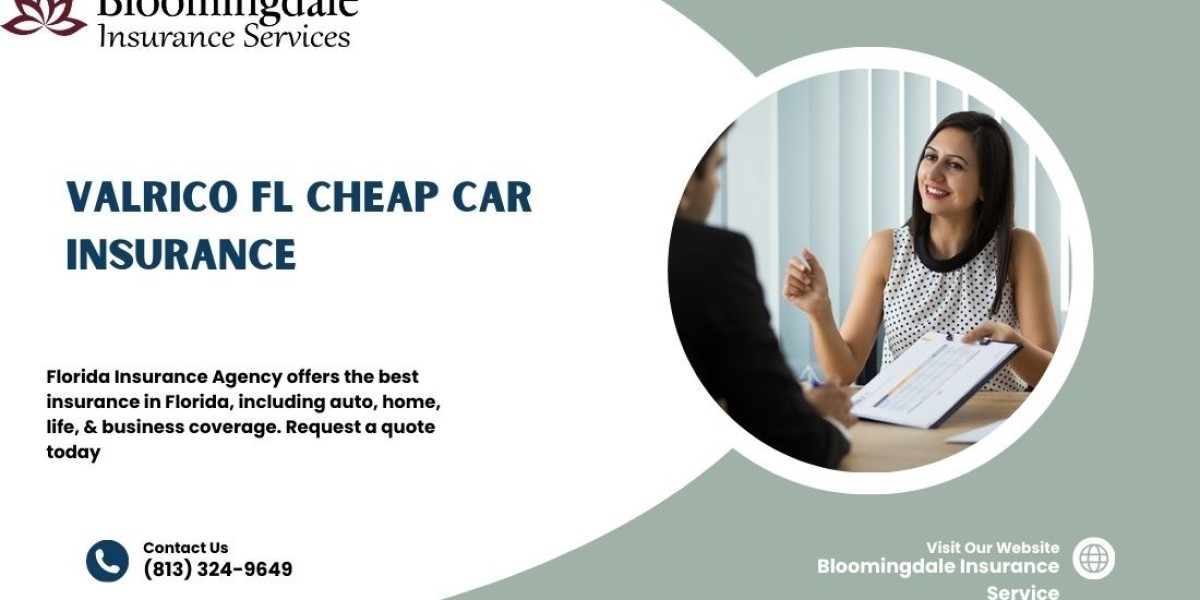 Valrico FL Cheap Car Insurance by Bloomingdale Insurance Services