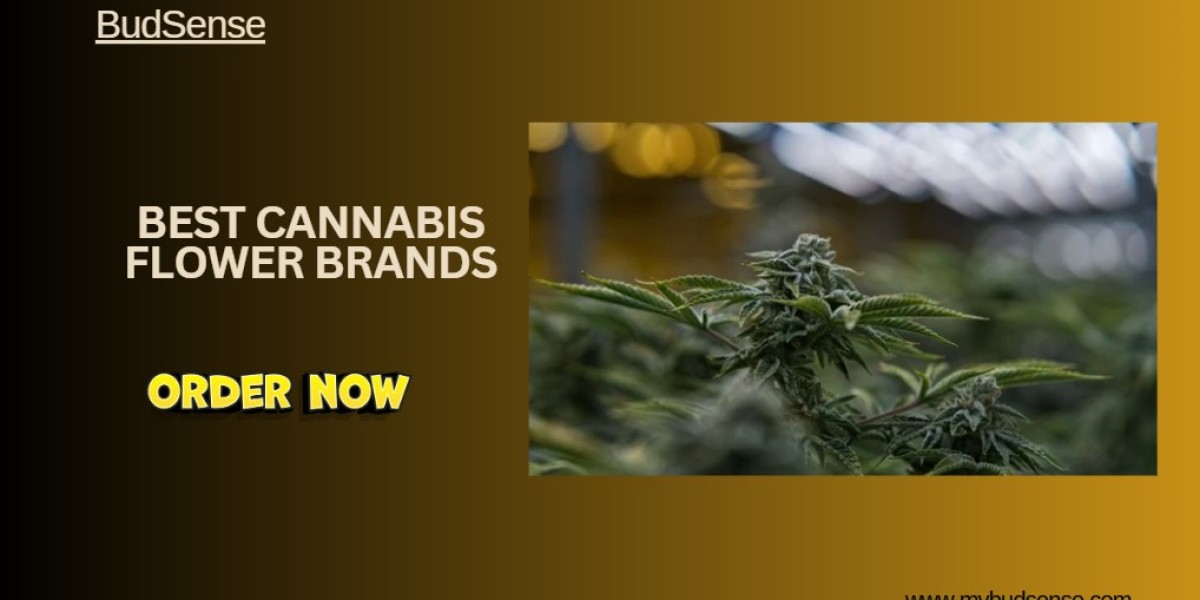 Best Cannabis Flower Brands in the USA | Premium Quality Guide