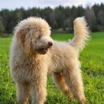 Best Digital Marketing Tools of 2024 | The Hankful House