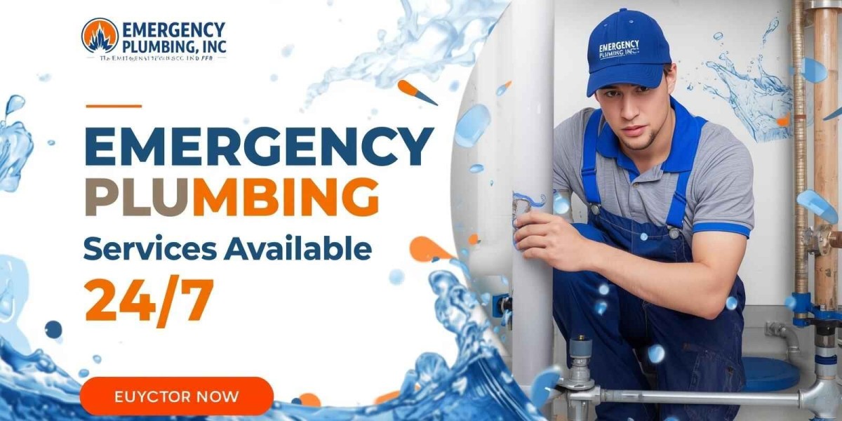 10 DIY Methods to Clear Clogged Sinks State by State