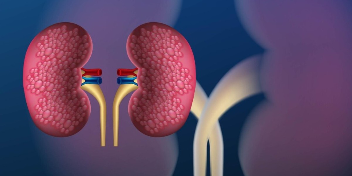 Understanding Primary Membranous Nephropathy: A Rare Kidney Disease Explained Simply