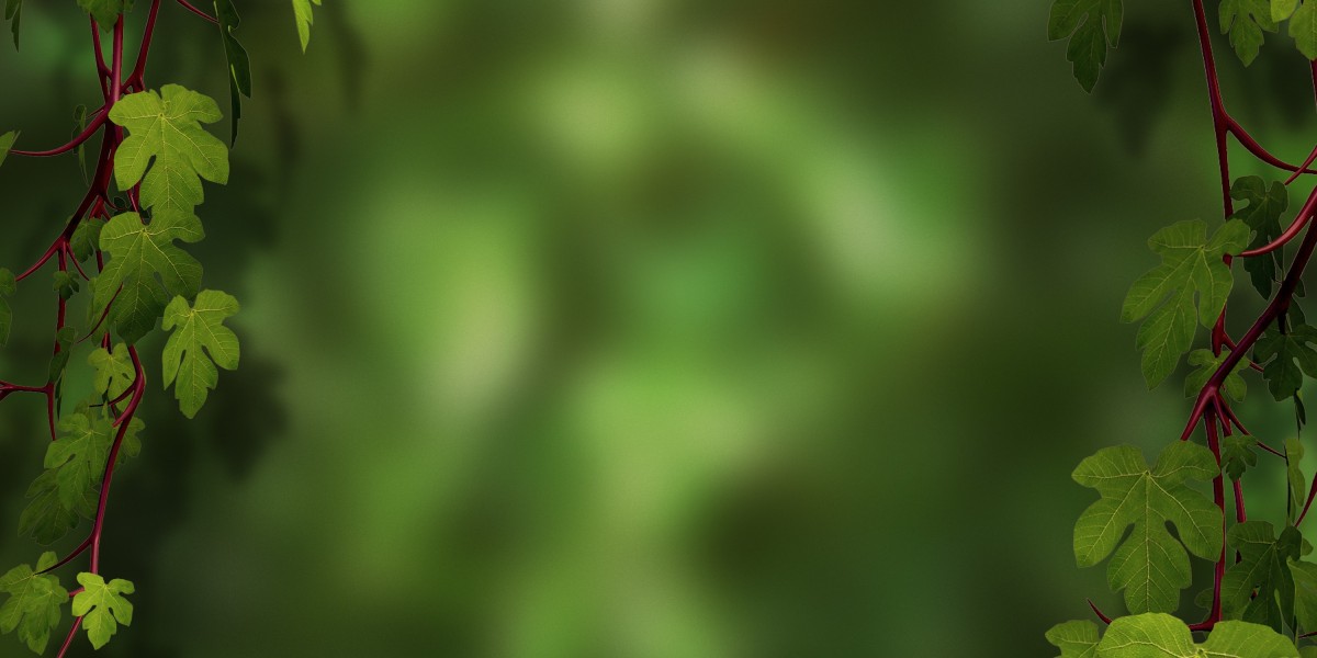 Observational Research on Augusta Precious Metals Gold IRA