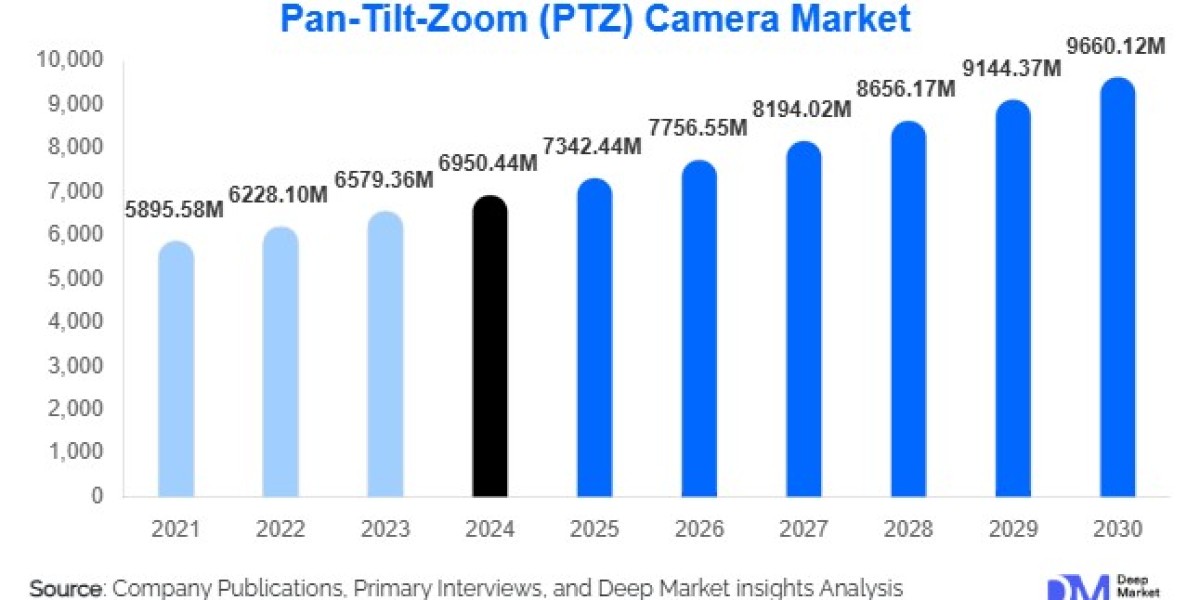 Pan-Tilt-Zoom Camera Market Growth Outlook