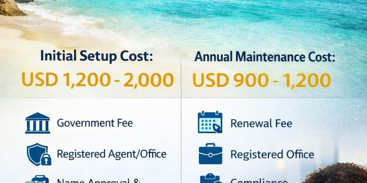 Seychelles Company Setup Cost: What You Need to Know Before You Incorporate