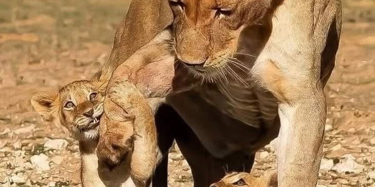 Washington Nationals information & notes: Davey Martinez upon worth of September + information upon a substantial bi