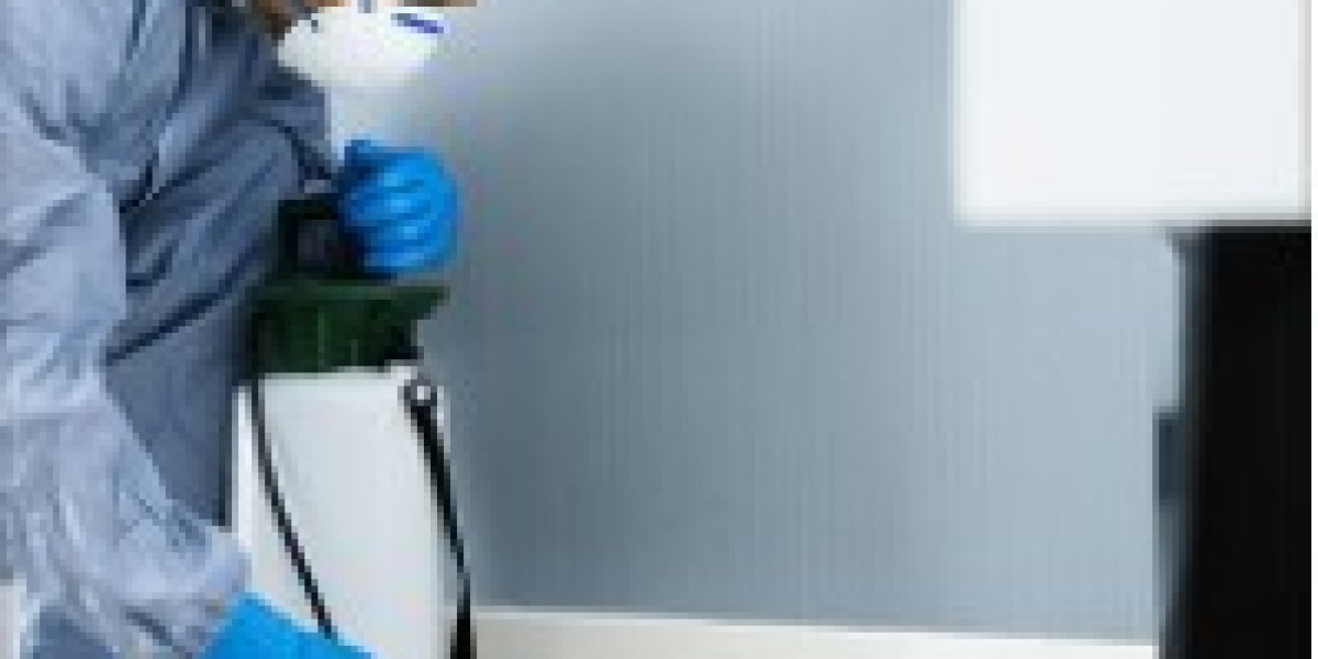 Why Rodent Pest Removal Is More Than a Simple Fix