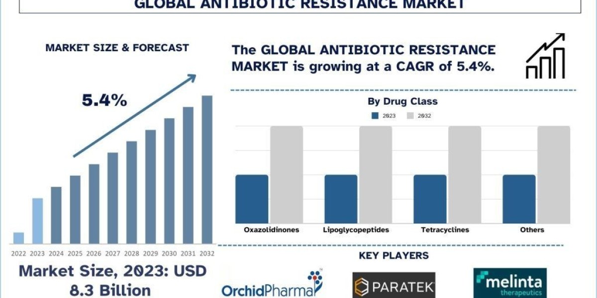 Antibiotic Resistance Market Report, Size, Overview, Trends & Analysis 2032