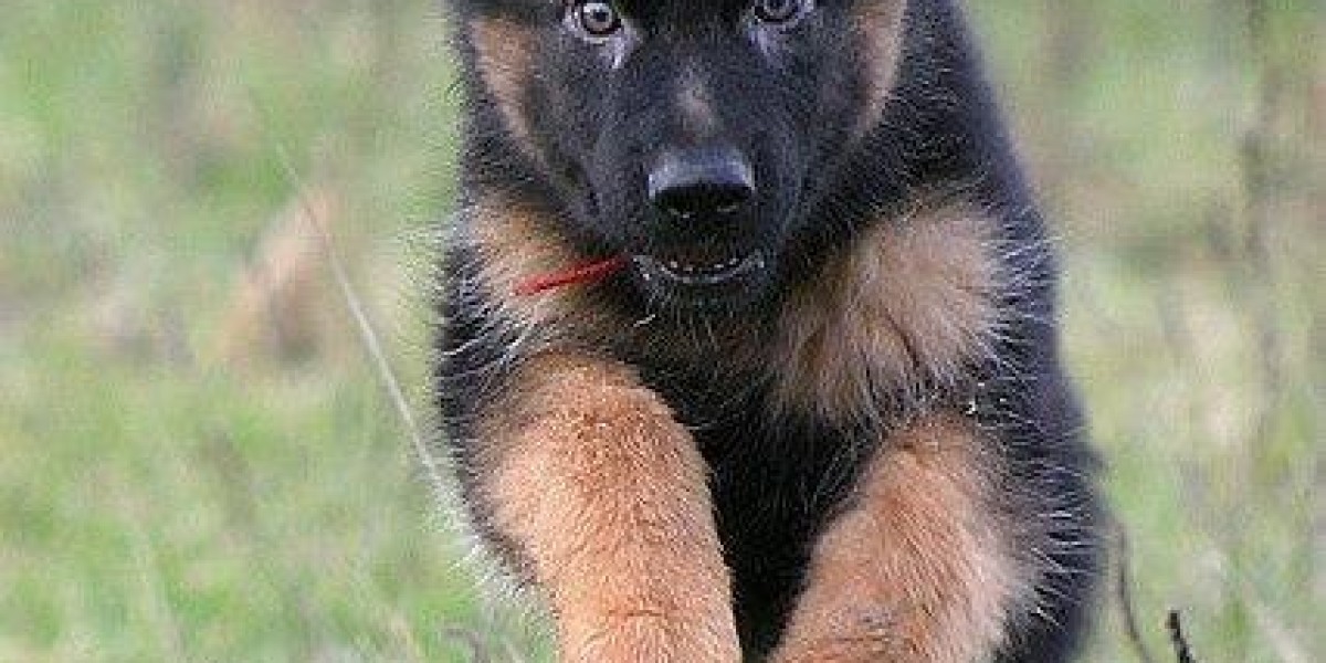 Tuesday BP: Inside of appreciation of in just-the-parkers