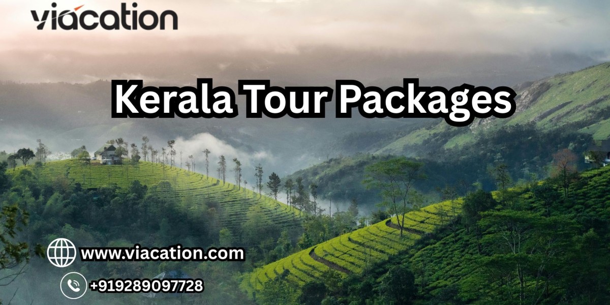Which Kerala Tour Packages Are Best for Couples and Families?