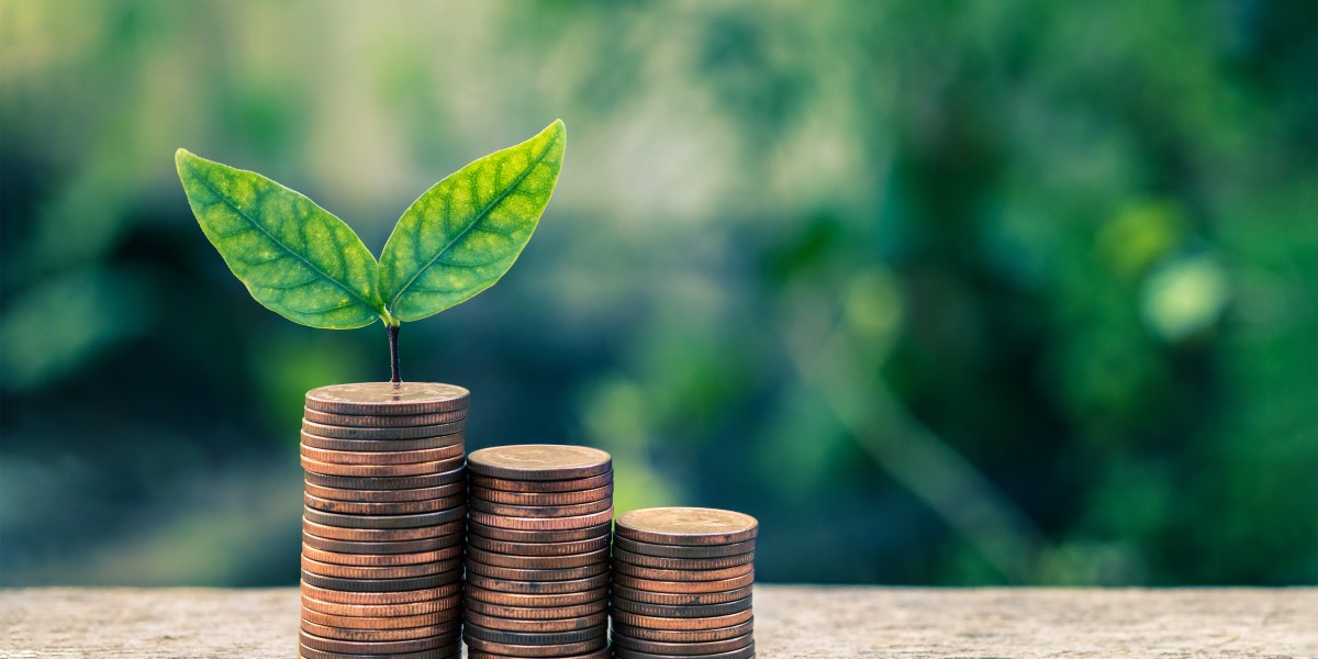 How to Use a Scheme-Wise Rolling Return Calculator in Mutual Fund Software for Distributors