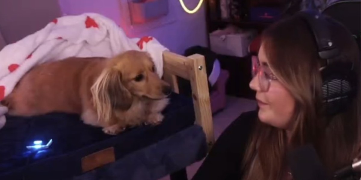 Pea the Dog - Marvel Rivals' Cutest Teammate