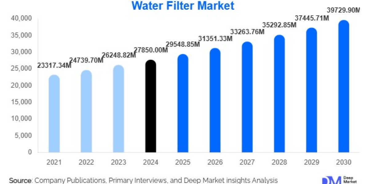 Water Filter Market Growth Outlook l 2025-2030