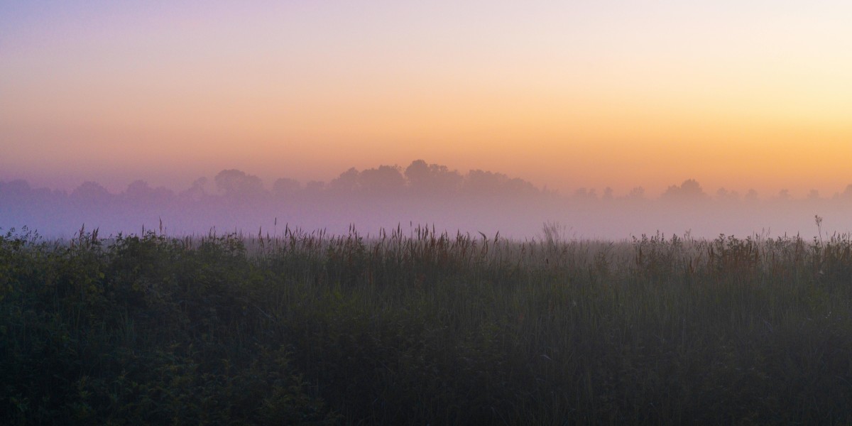 EZNPC Why Youll Win Roblox Steal a Brainrot Duels