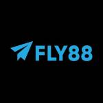 Fly88 football Profile Picture