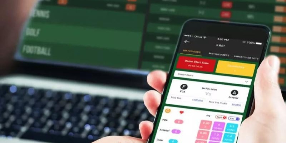 ブック メーカー オッズで広がる戦略的スポーツ観戦