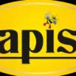 ApisIndia Apis Profile Picture