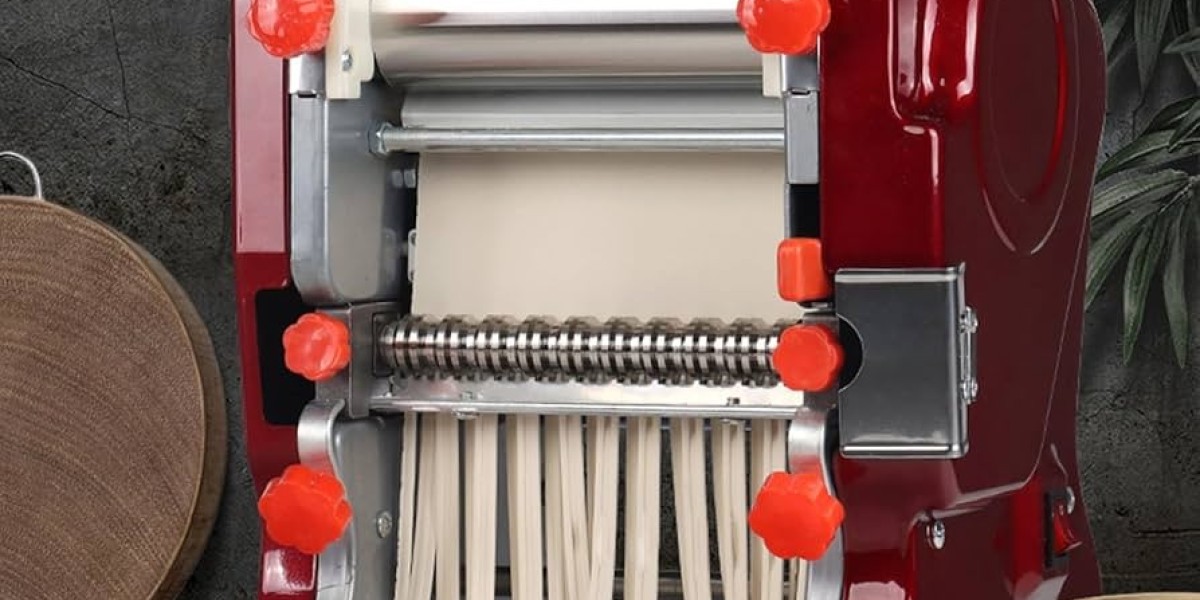 haiou Commercial Pasta Maker Solutions for Working Kitchens