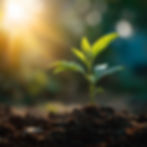 QDRO Preparation Services for Divorce | Tidal Pointe