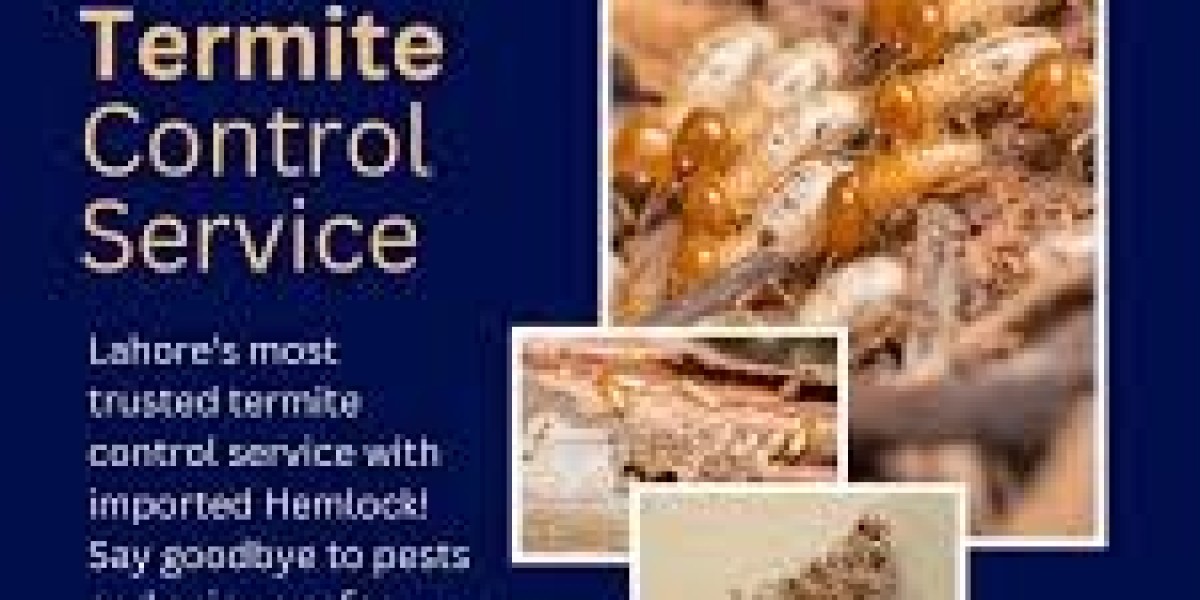 Termite Control Services in Lahore – Complete Protection for Homes and Businesses