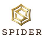 Spider Business center Profile Picture