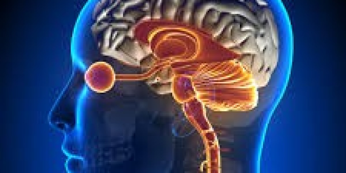 Brainspotting Canada – Advanced Trauma and Anxiety Therapy