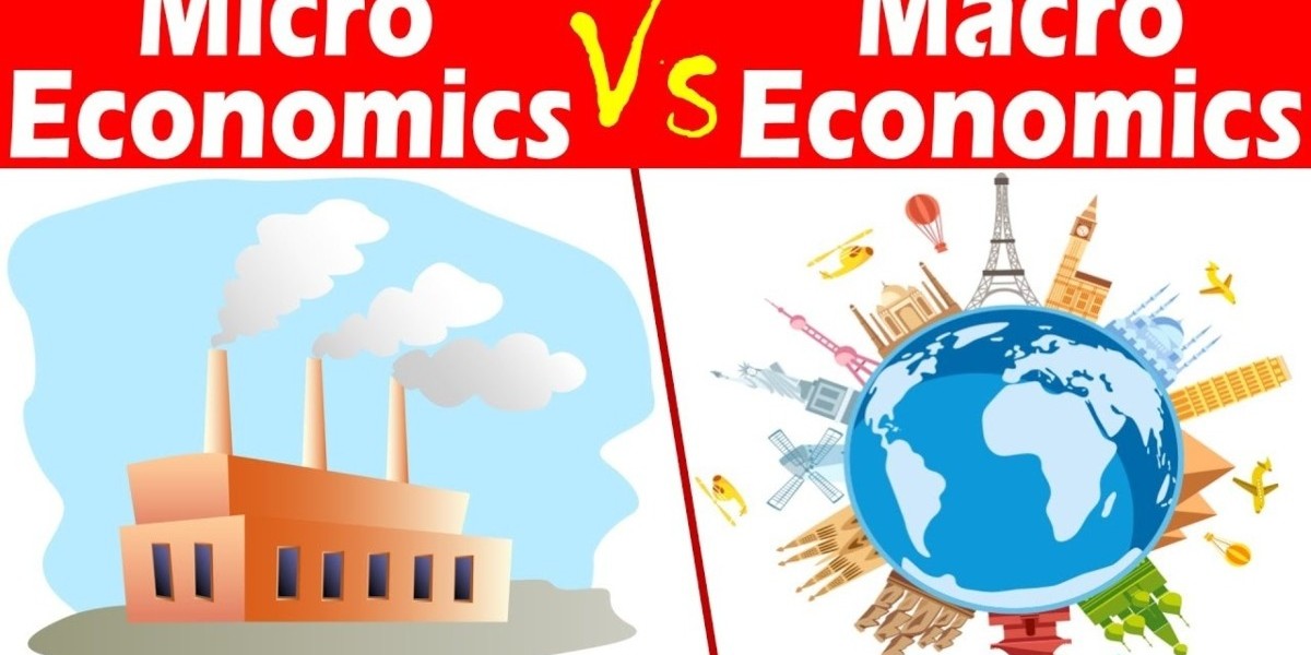 Understanding Economics Through Micro and Macro Economics